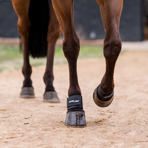 Pastern Wrap-Black