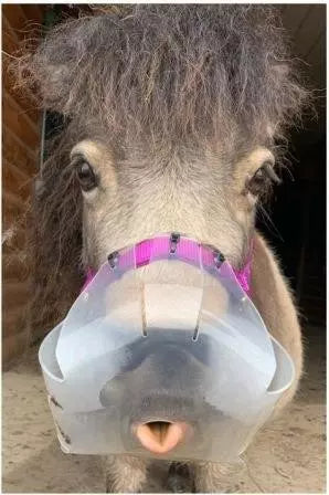 Muzzle-Cob/Horse 3.5+cm hole