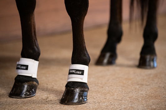 Pastern Wrap-White