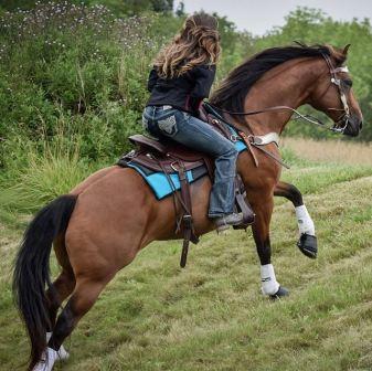 Contour Western Ranch Saddle Pad 32x32 Turquoise