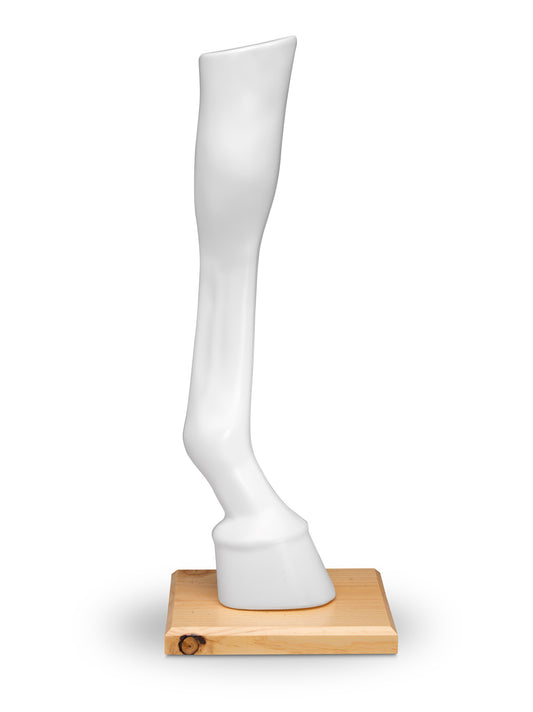 HORSE LEG DISPLAY WHITE