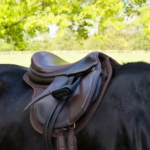 Wither Free Cut Back Pad Dark Brown