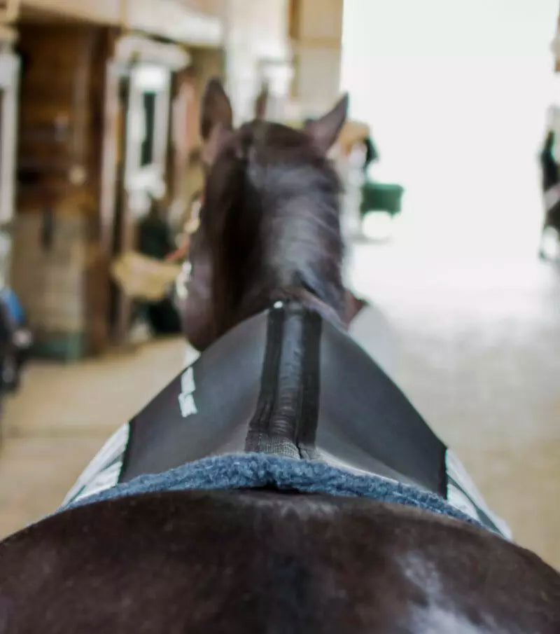 Contour Western Ranch Saddle Pad 32x32 Birch