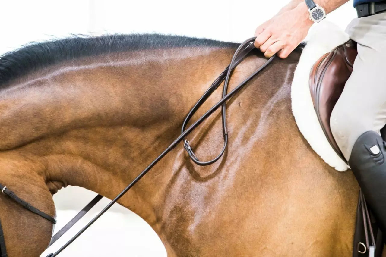 Thinline Classed Lined Reins Black - 60"