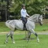 The Link Hunter Pad  White Sheepskin 17.5"